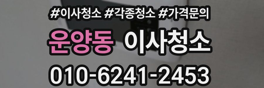 운양동 이사청소