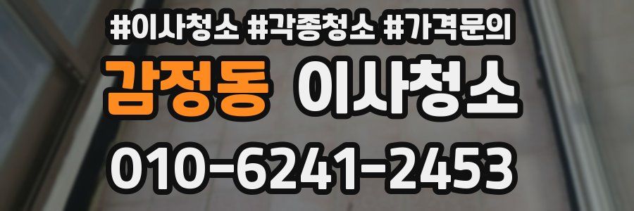 감정동 이사청소