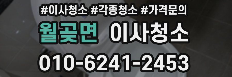 월곶면 이사청소