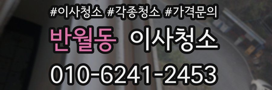 반월동 이사청소