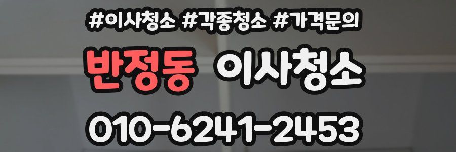 반정동 이사청소