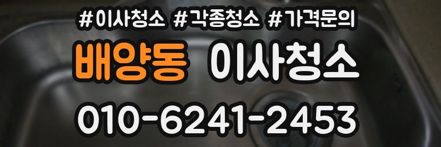 배양동 이사청소