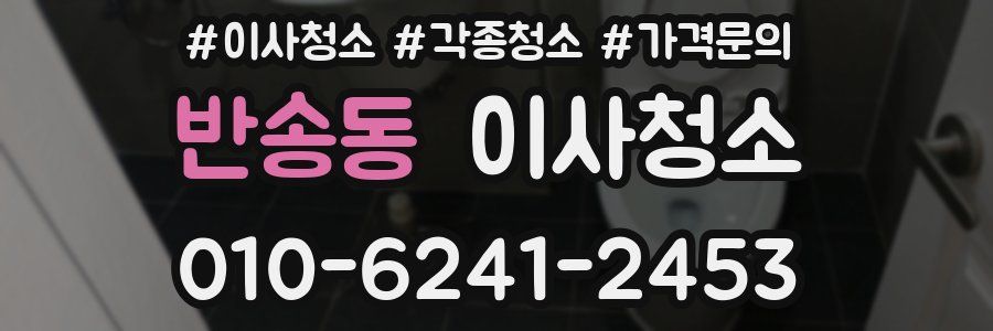 반송동 이사청소