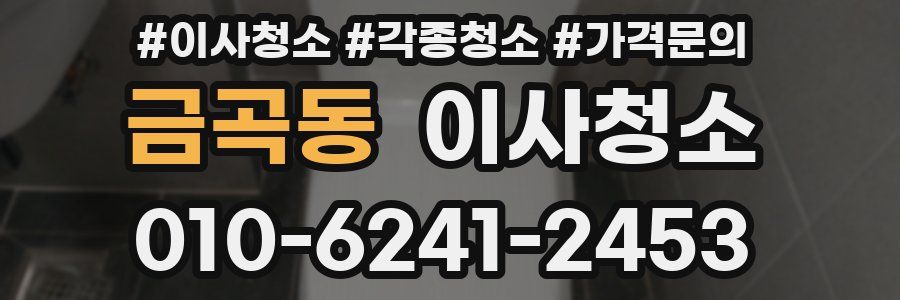 금곡동 이사청소