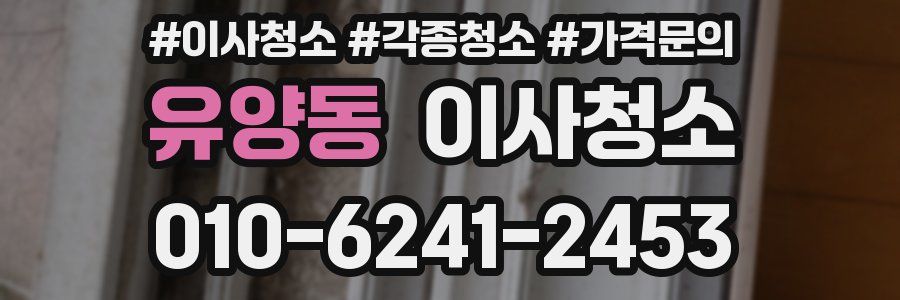유양동 이사청소