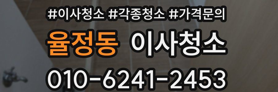 율정동 이사청소