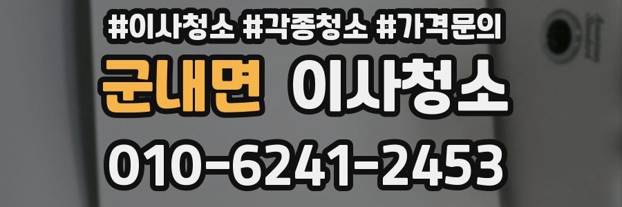 군내면 이사청소