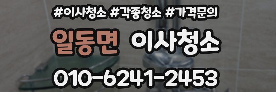 일동면 이사청소