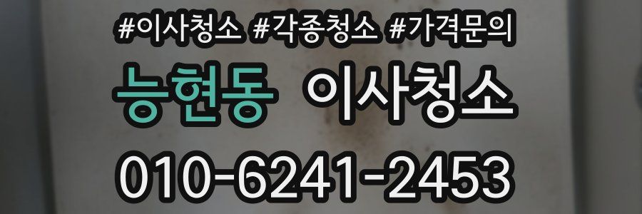 능현동 이사청소