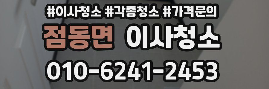 점동면 이사청소