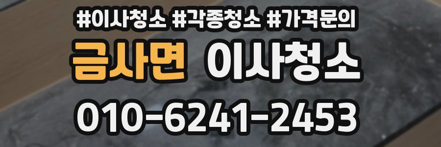 금사면 이사청소