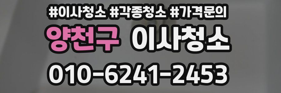 양천구 이사청소