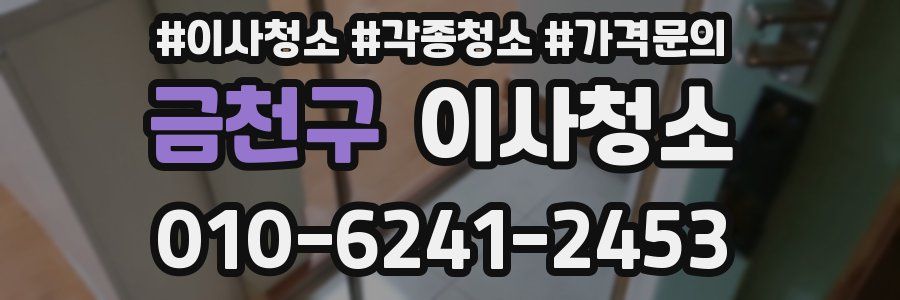 금천구 이사청소
