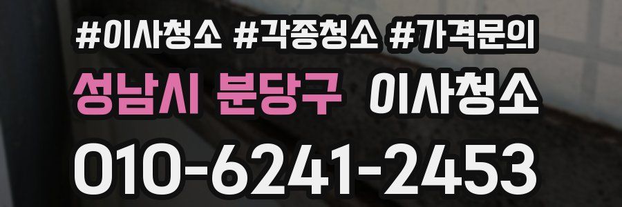성남시 분당구 이사청소