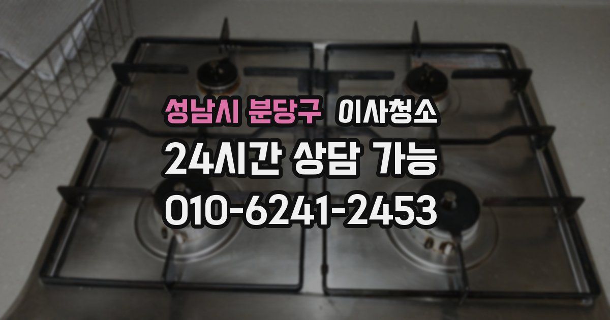 성남시 분당구 입주청소