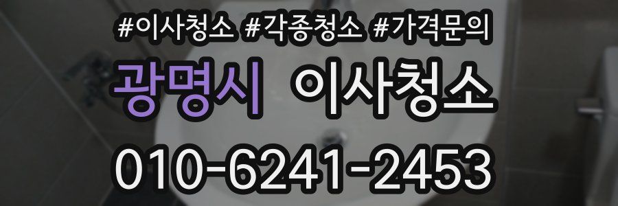 광명시 이사청소