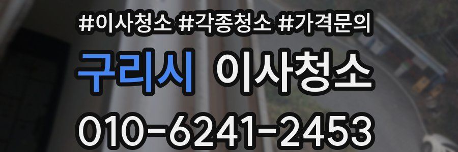 구리시 이사청소