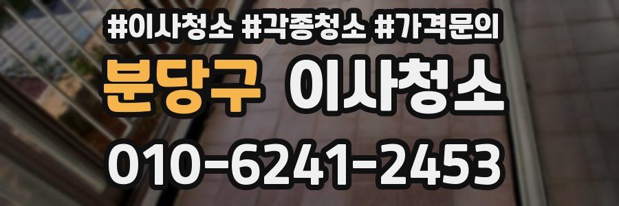 분당구 이사청소