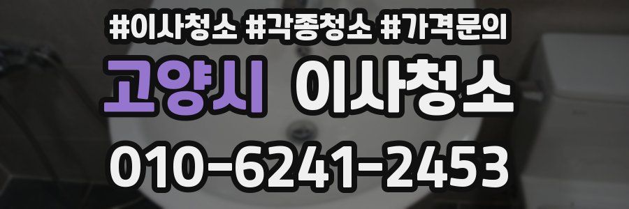 고양시 이사청소