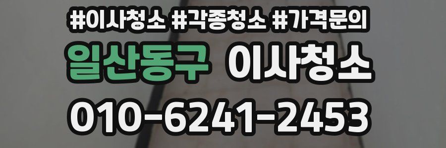 일산동구 이사청소