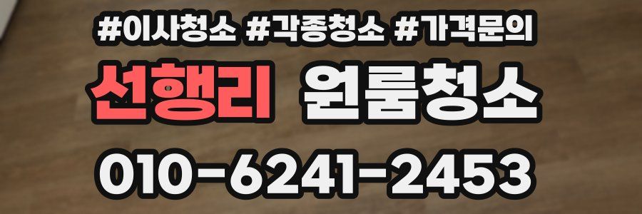 선행리 이사청소