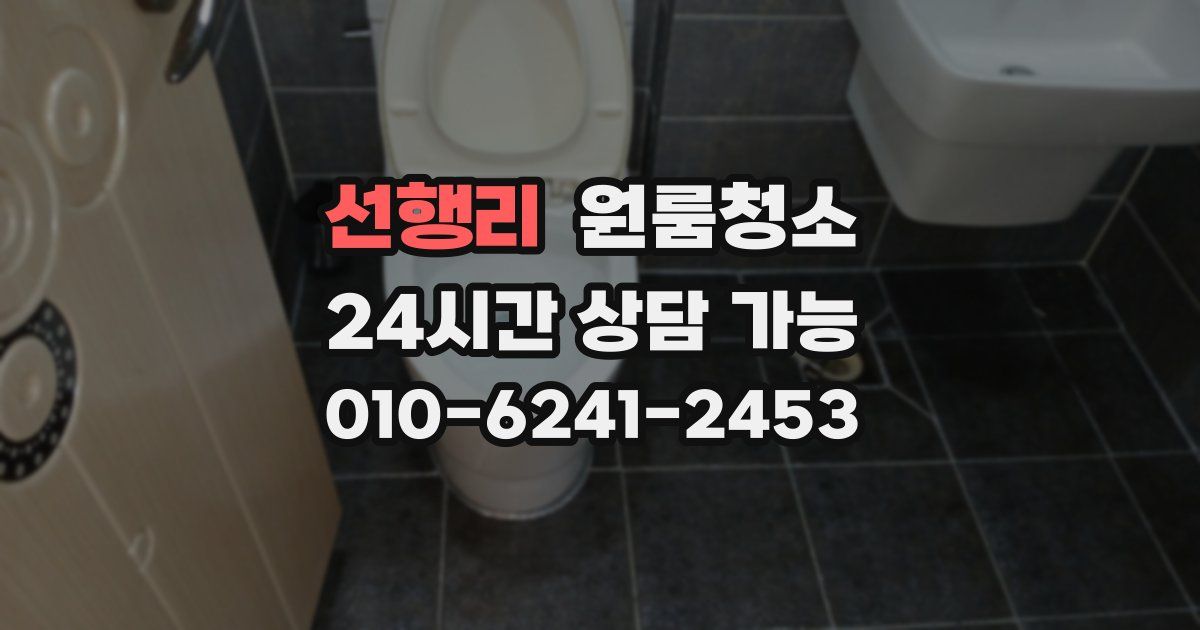 선행리 입주청소