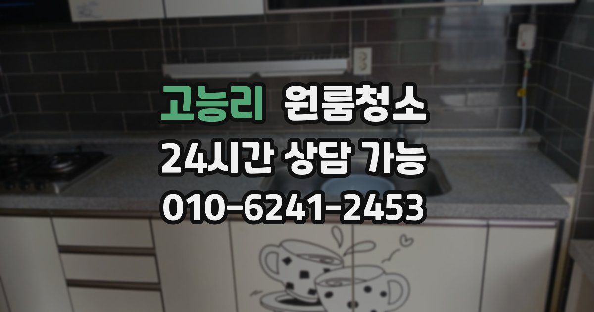 고능리 입주청소