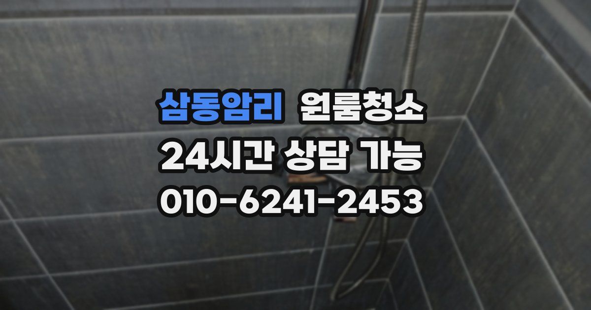 삼동암리 입주청소