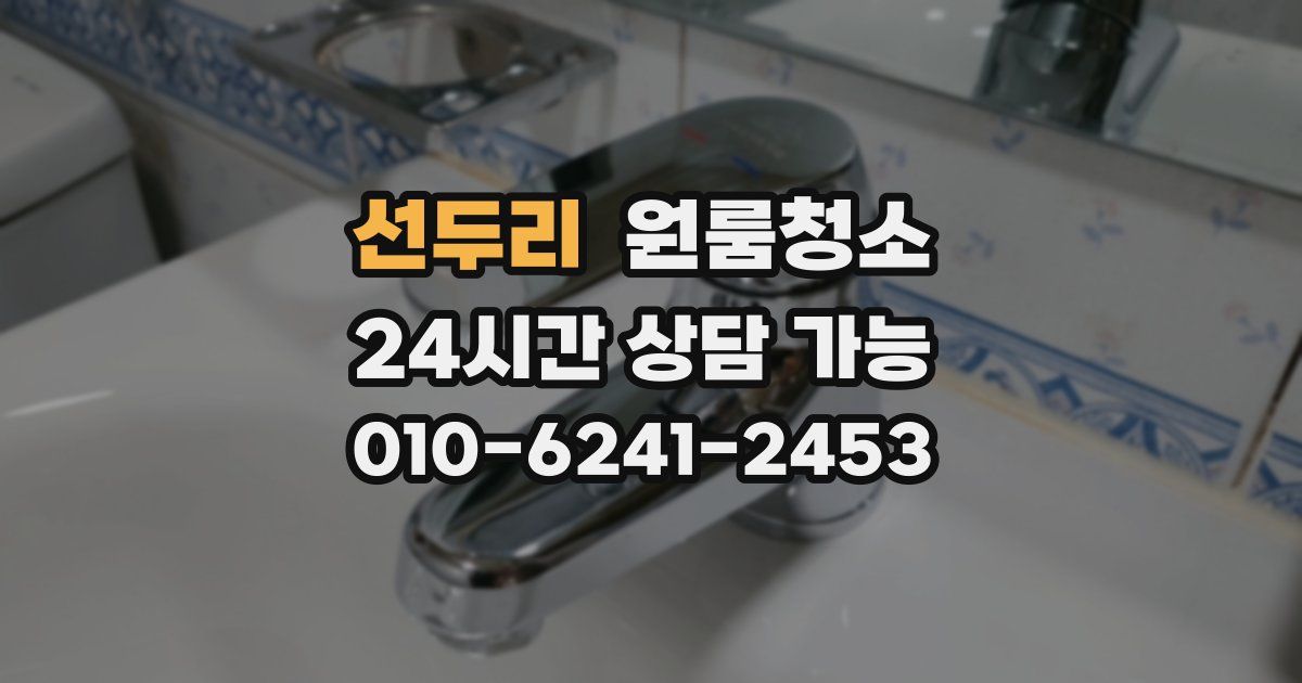 선두리 입주청소