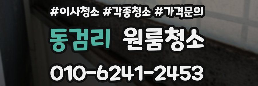 동검리 이사청소