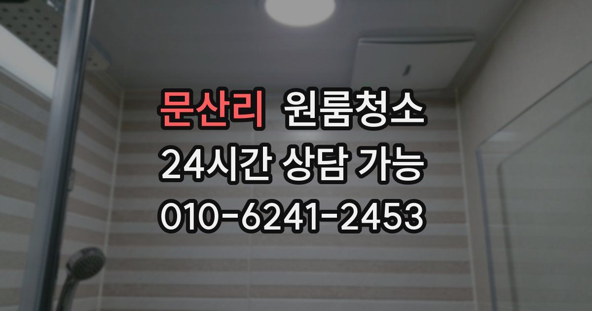 문산리 입주청소