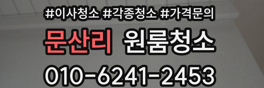 문산리 이사청소