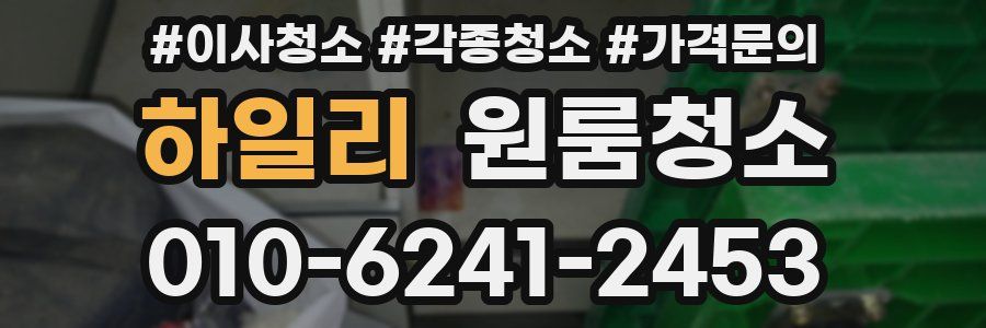 하일리 이사청소