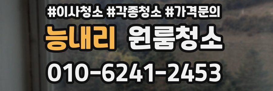 능내리 이사청소