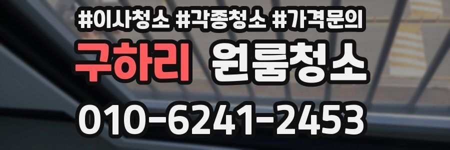 구하리 이사청소