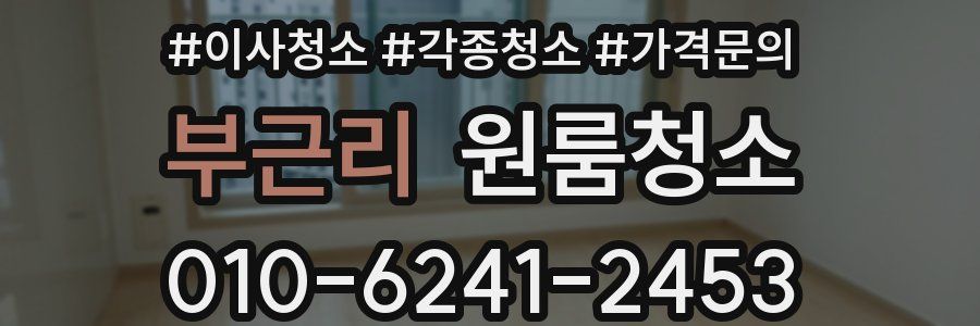 부근리 이사청소