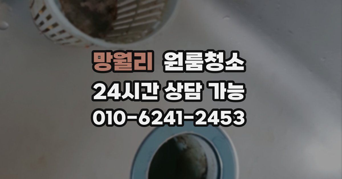 망월리 입주청소