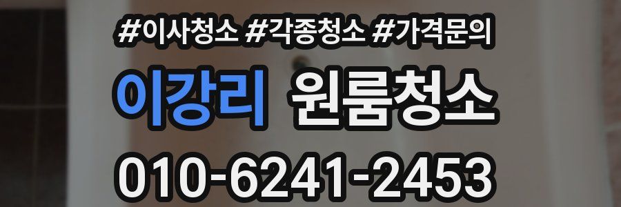 이강리 이사청소