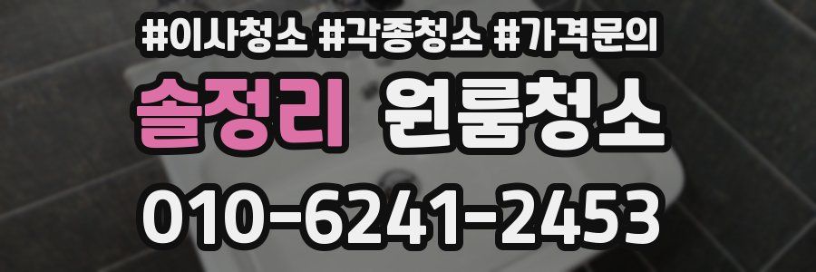 솔정리 이사청소