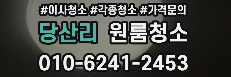 당산리 이사청소