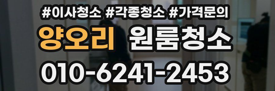 양오리 이사청소