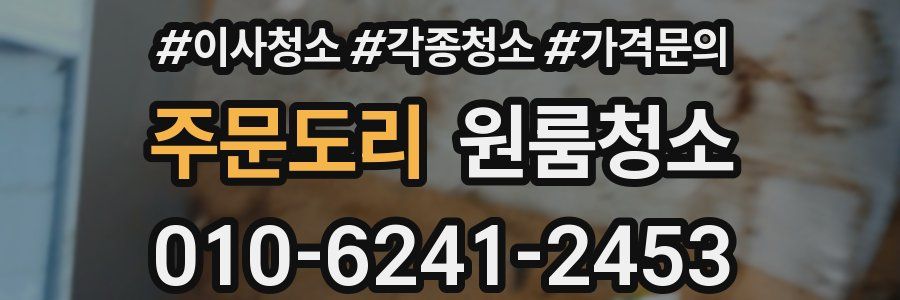 주문도리 이사청소