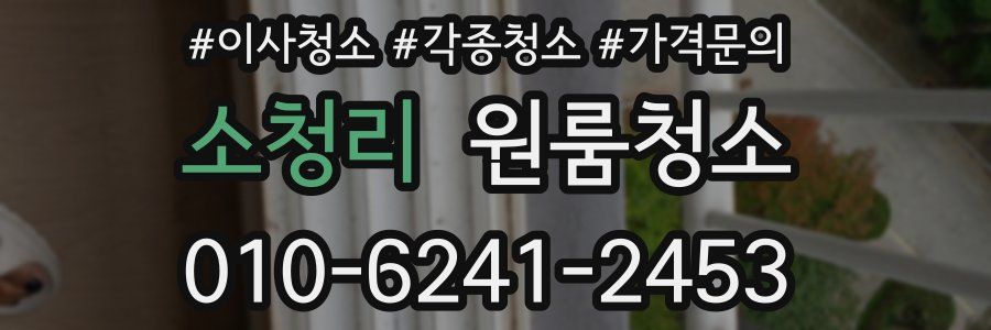 소청리 이사청소