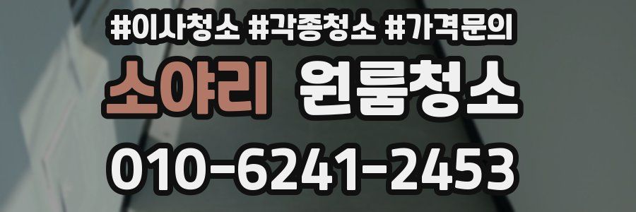 소야리 이사청소