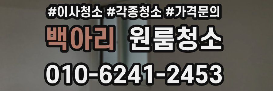 백아리 이사청소