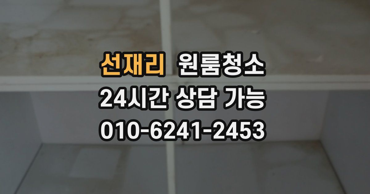 선재리 입주청소