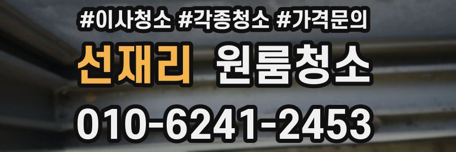 선재리 이사청소