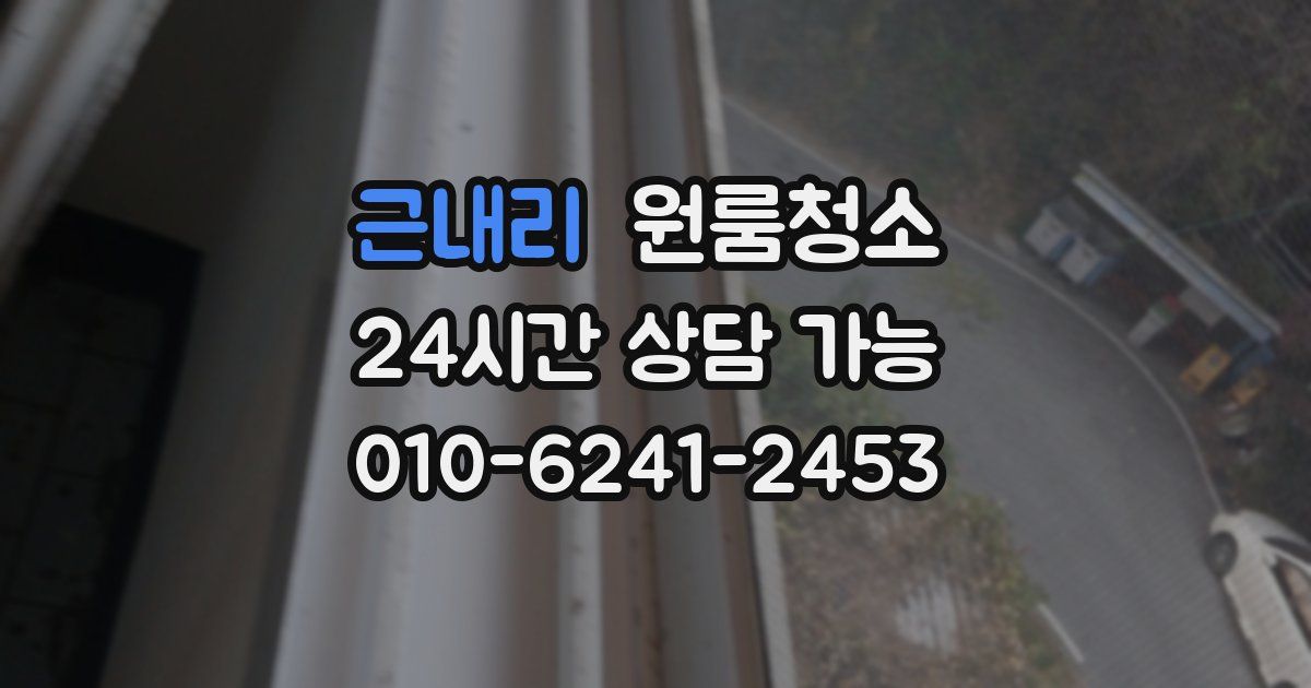 근내리 입주청소