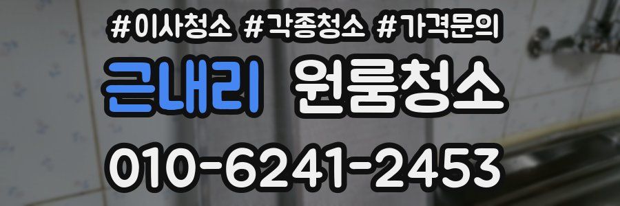 근내리 이사청소