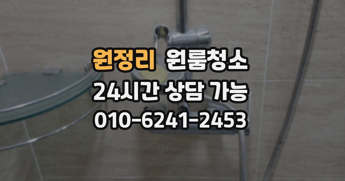 원정리 입주청소